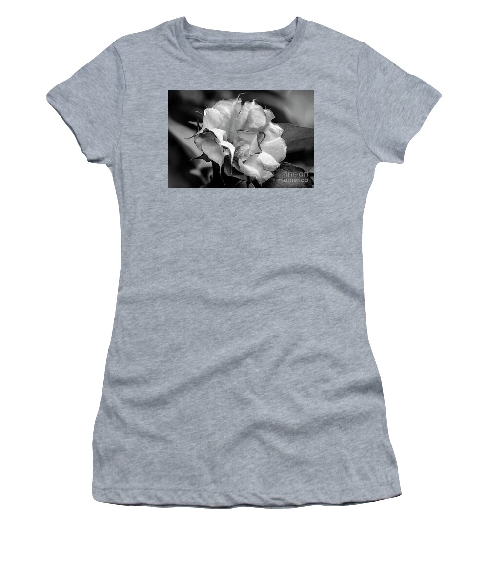 Brugmansia Women's T-Shirt featuring the photograph Purple Trumpet Flower #2 by Raul Rodriguez