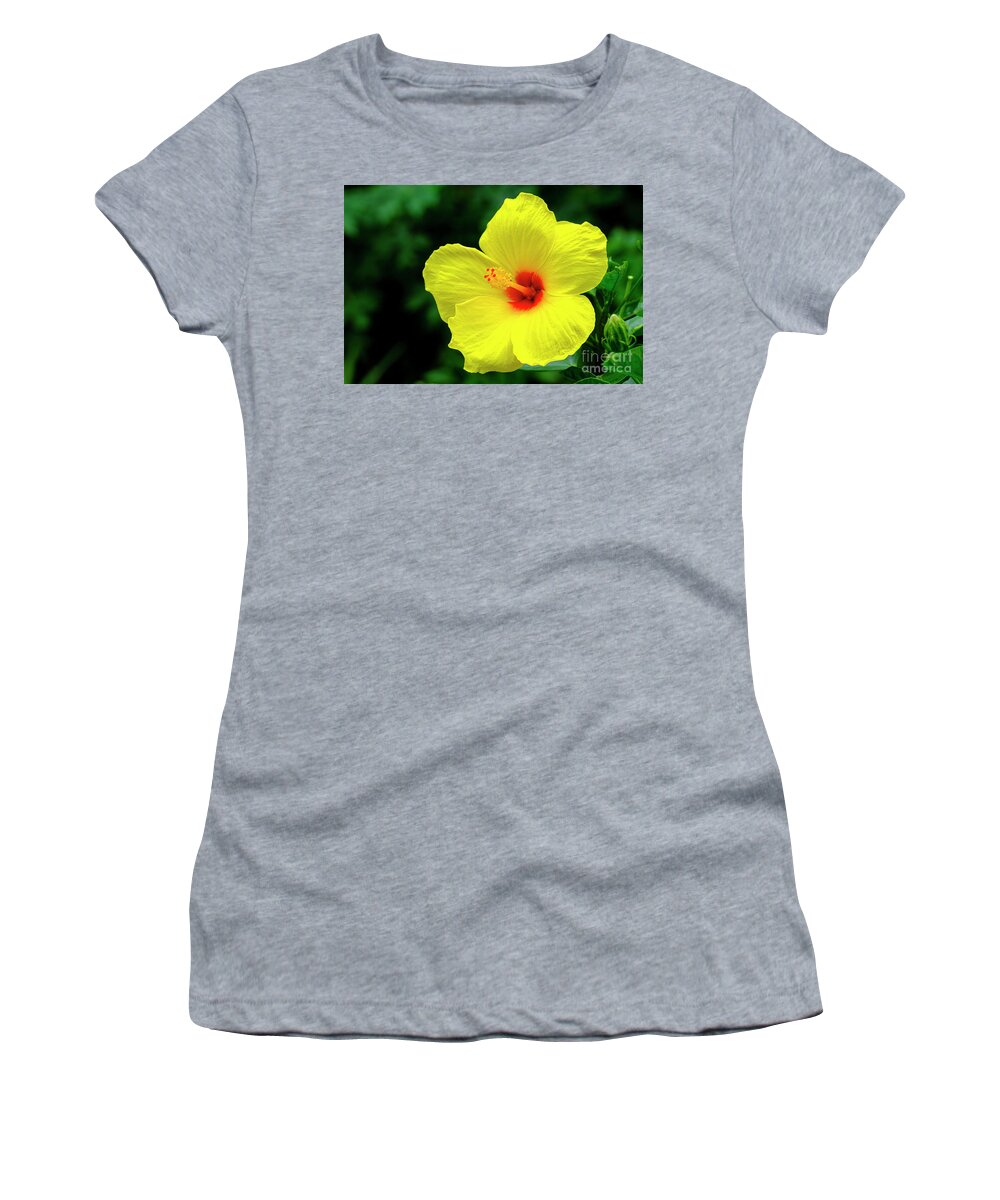 Beautiful Women's T-Shirt featuring the photograph Beautiful Hibiscus #4 by Raul Rodriguez