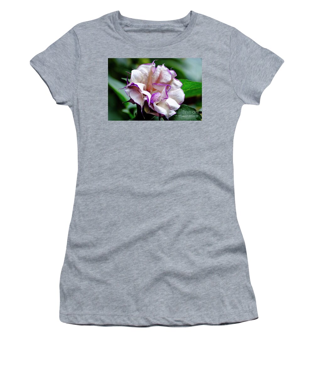 Brugmansia Women's T-Shirt featuring the photograph Purple Trumpet Flower #3 by Raul Rodriguez