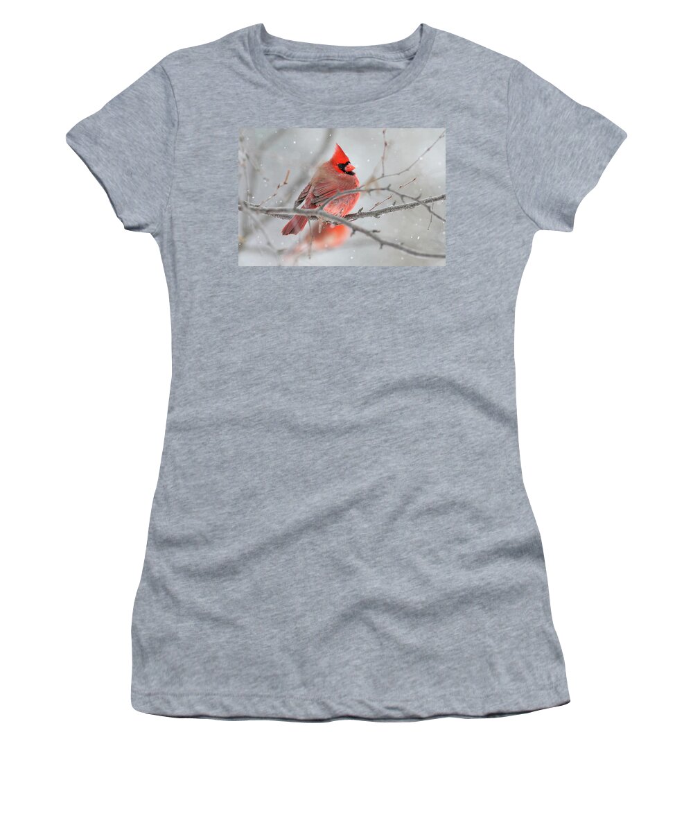Cardinal Women's T-Shirt featuring the photograph Snowy Cardinal by Brook Burling