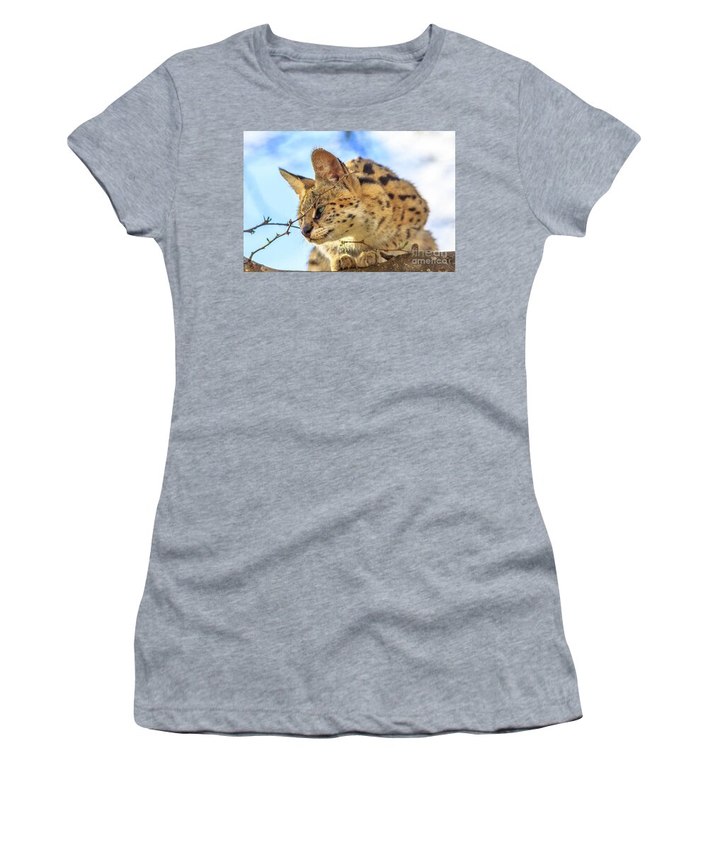 Serval Women's T-Shirt featuring the photograph Serval on a tree #4 by Benny Marty