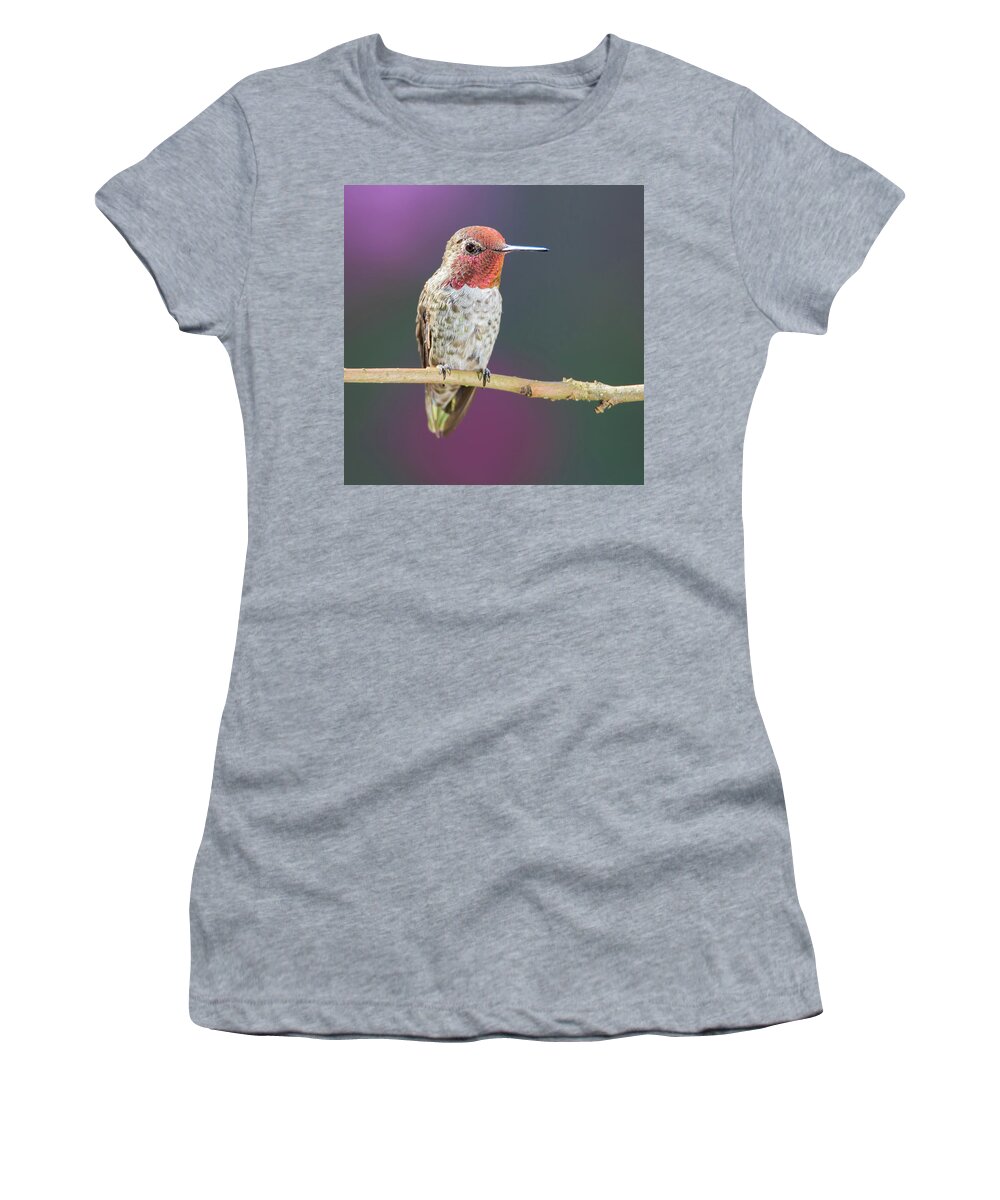 Animal Women's T-Shirt featuring the photograph Male Anna's Hummingbird #6 by Briand Sanderson