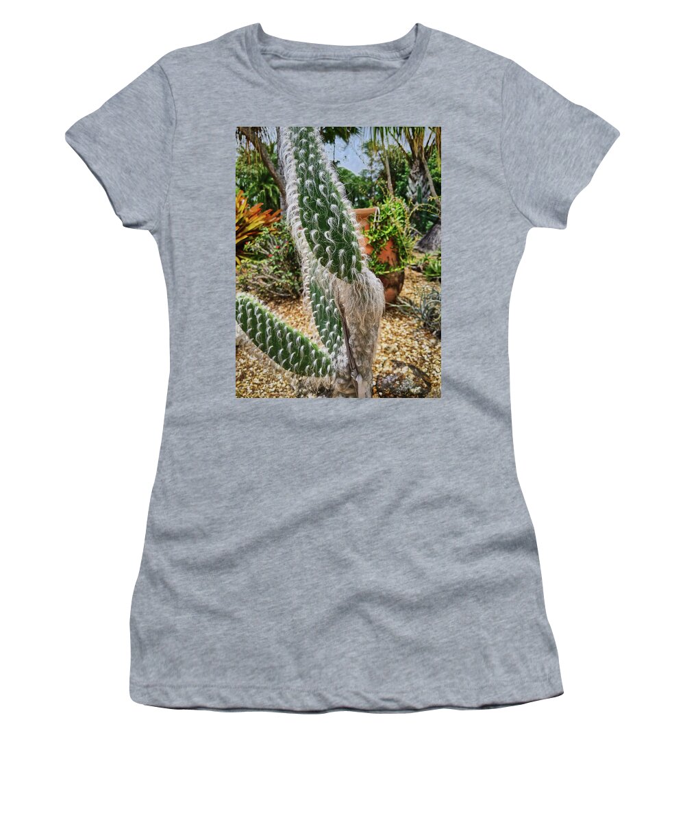 Cactus Women's T-Shirt featuring the photograph A Fuzzy One by Portia Olaughlin
