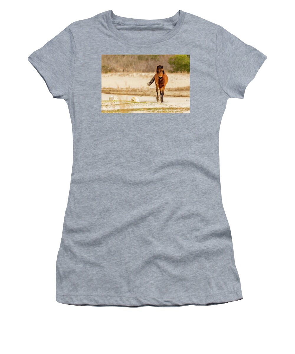 Animals Women's T-Shirt featuring the photograph A Walk On The Wild Side by Donna Twiford