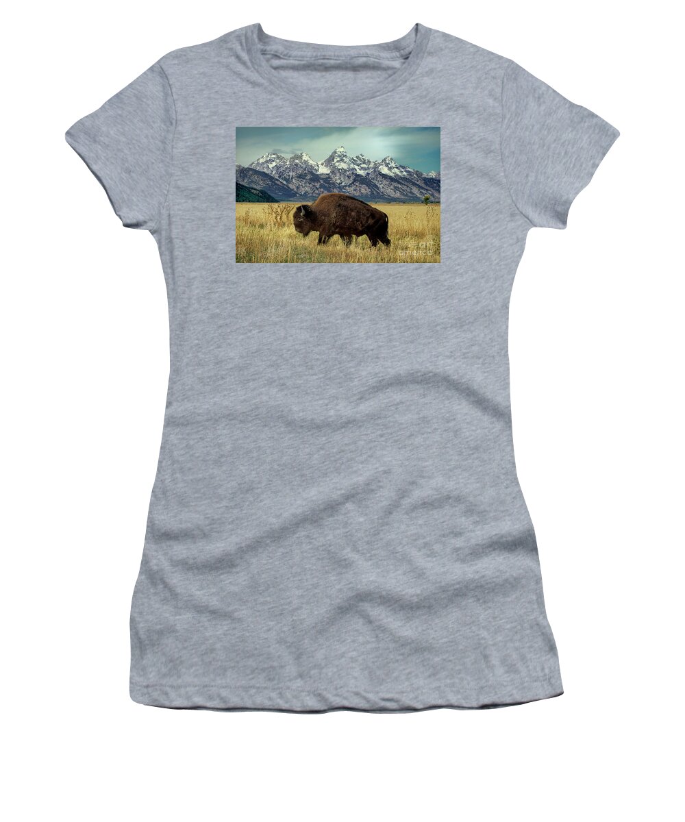 Dave Welling Women's T-Shirt featuring the photograph Adult Bison Bison Bison Wild Wyoming by Dave Welling