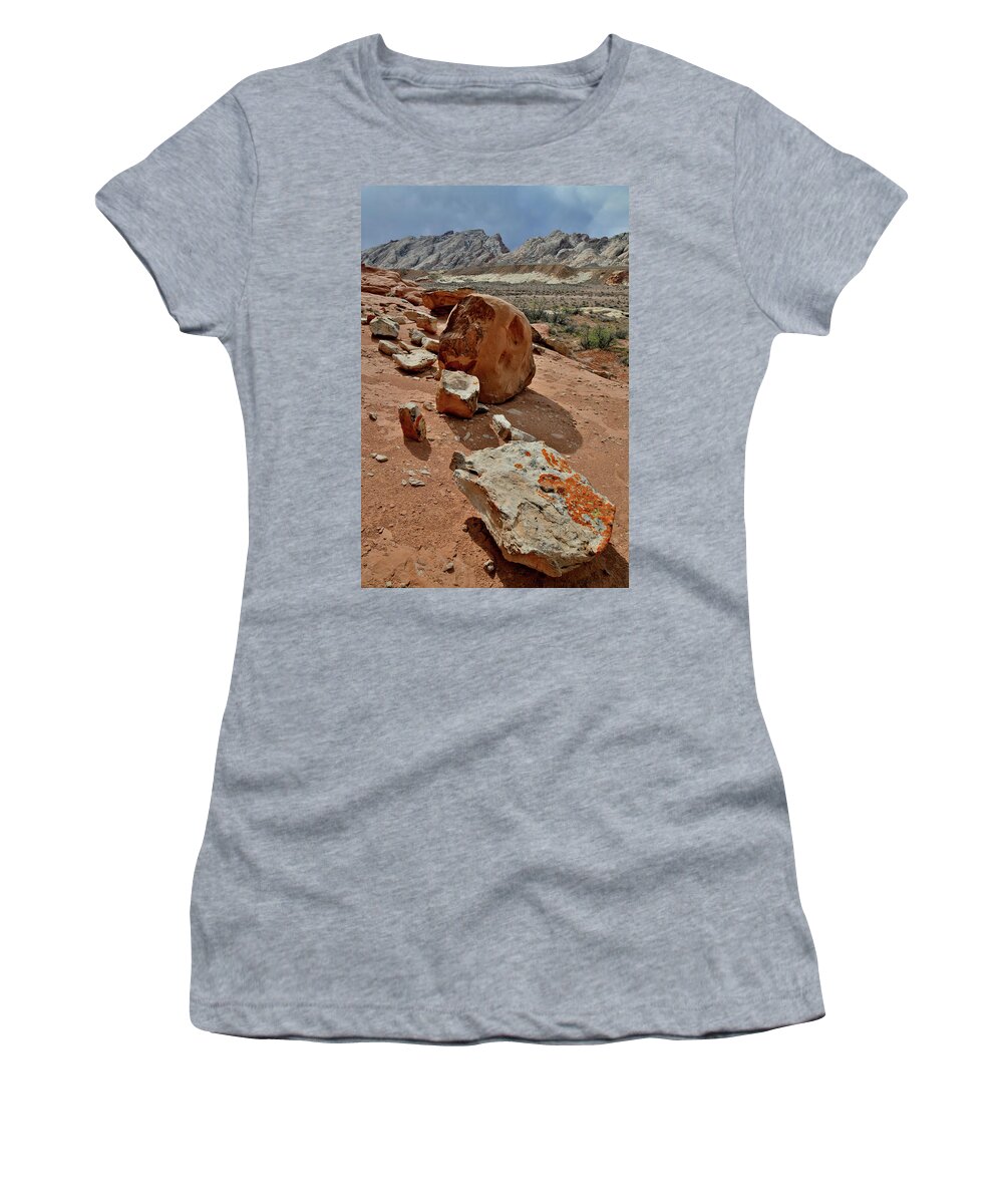 County Road 1028 Women's T-Shirt featuring the photograph Afternoon at San Rafael Swell by Ray Mathis