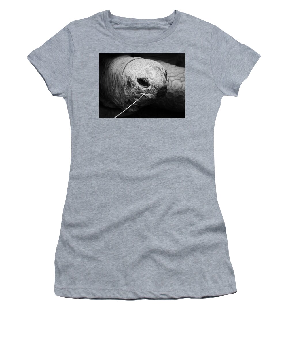 Jane Ford Women's T-Shirt featuring the photograph Aldabra Tortoise by Jane Ford