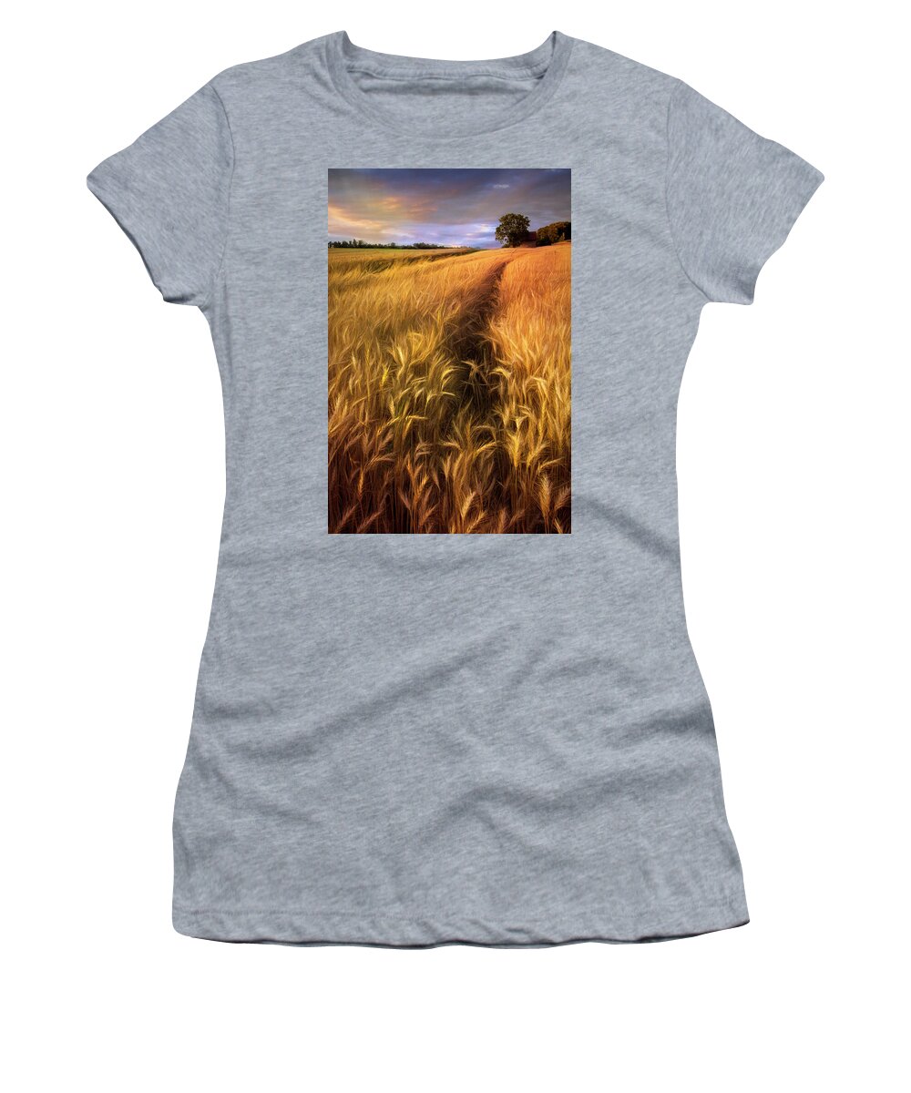 Austria Women's T-Shirt featuring the photograph Amber Waves of Grain Blowing in the Wind by Debra and Dave Vanderlaan