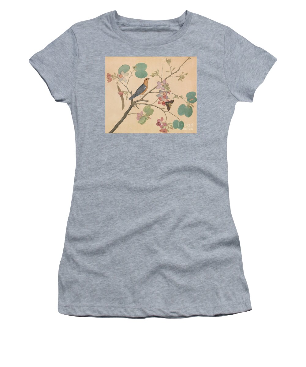 Orchid Women's T-Shirt featuring the painting An Orange Headed Ground Thrush and a Deaths Head Moth on a Purple Ebony Orchid Branch, 1788 by Sheikh Zainuddin