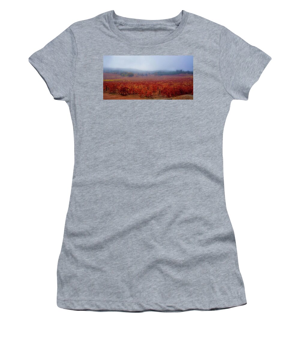 Fog Women's T-Shirt featuring the photograph Autumn Vines by Steph Gabler