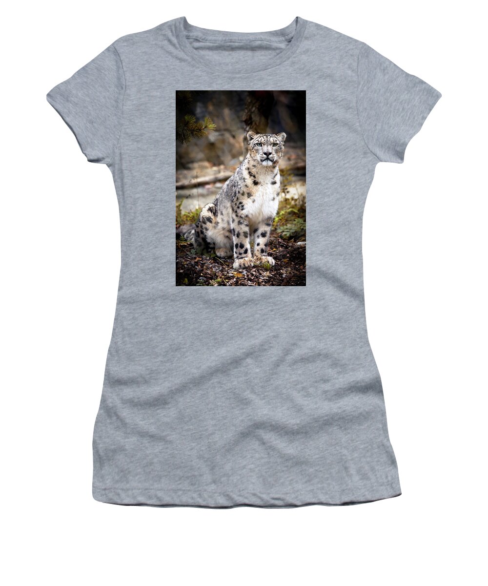 Snow Women's T-Shirt featuring the photograph AutumnalLeopard by Chris Boulton