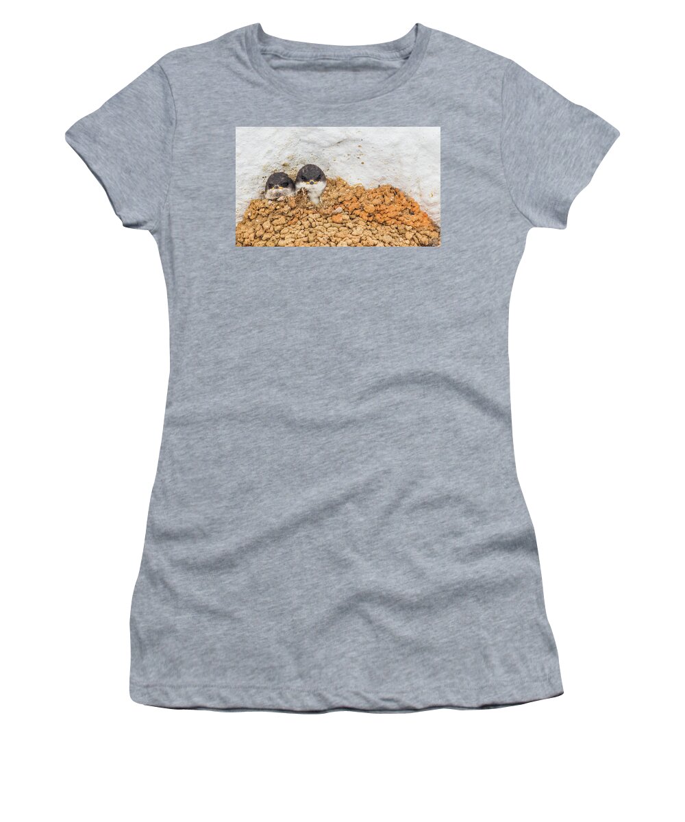 Swallows Women's T-Shirt featuring the photograph Baby Swallows in Nest by Lauri Novak