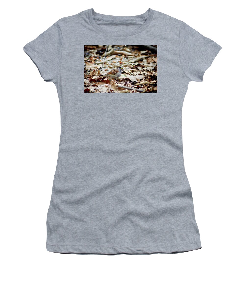 Bird Women's T-Shirt featuring the photograph Back Yard Buffet by DArcy Evans