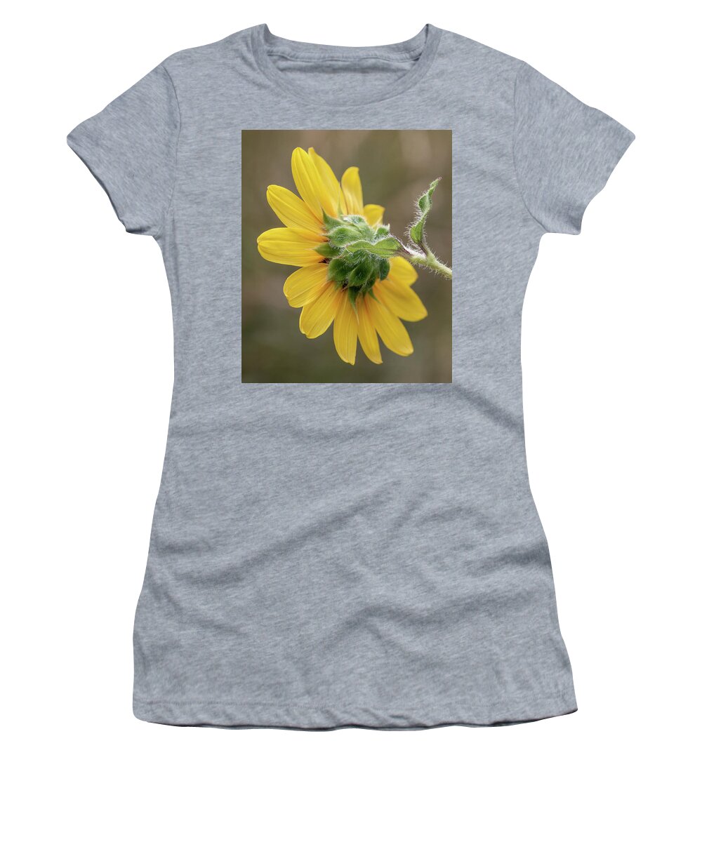 Beautiful Women's T-Shirt featuring the photograph Beauty From Behind by Teresa Wilson