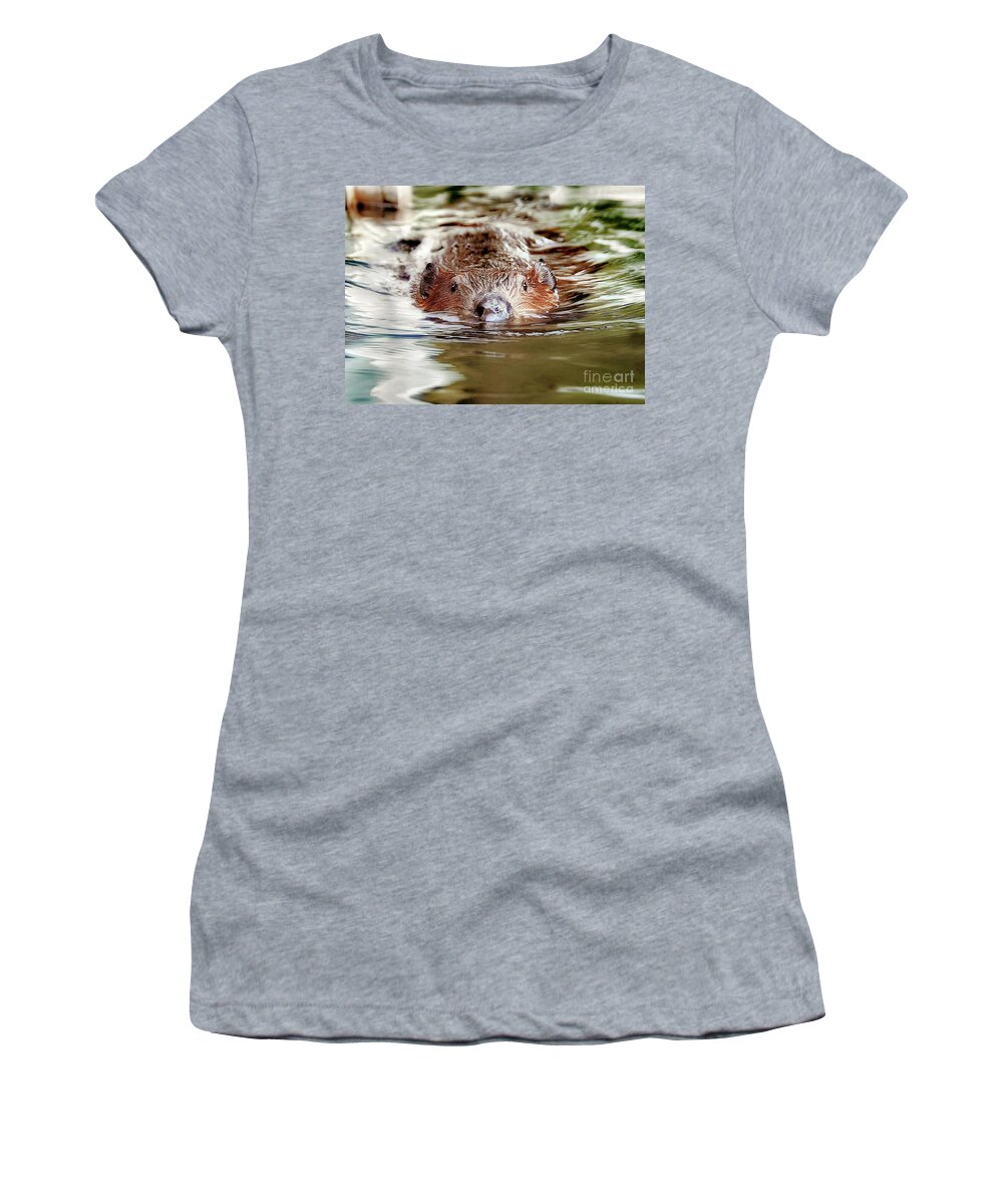 Beaver Women's T-Shirt featuring the photograph Beaver by Elaine Manley