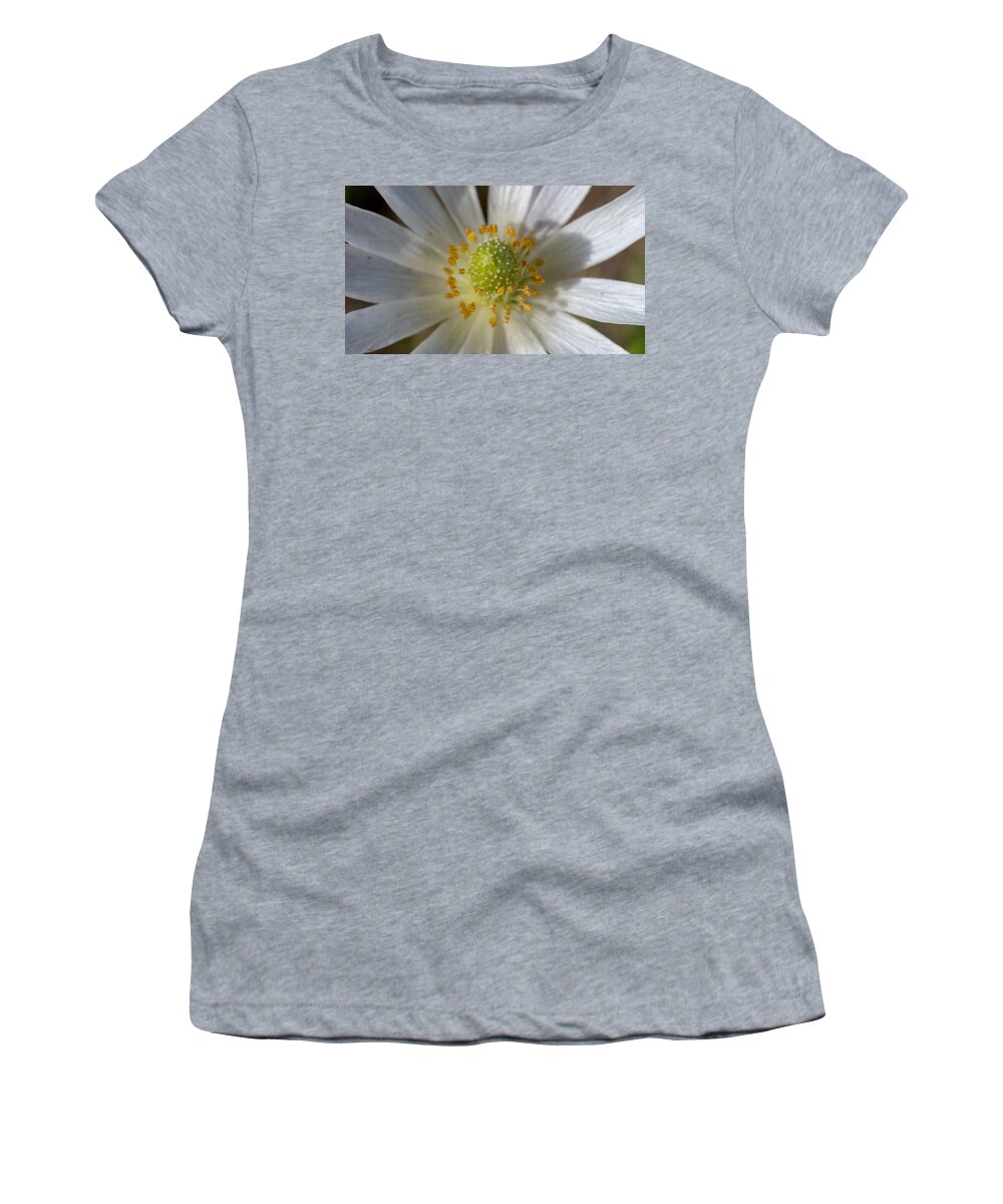 Flower Women's T-Shirt featuring the photograph Bee Waiting by Ivars Vilums