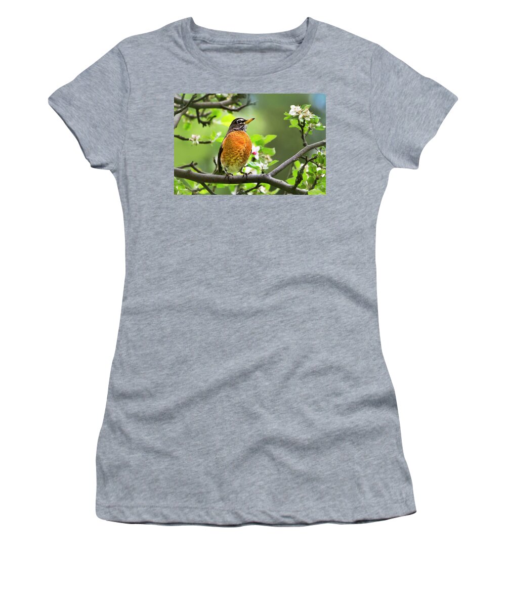 American Robin Women's T-Shirt featuring the photograph Birds - American Robin - Nature's Alarm Clock by Christina Rollo