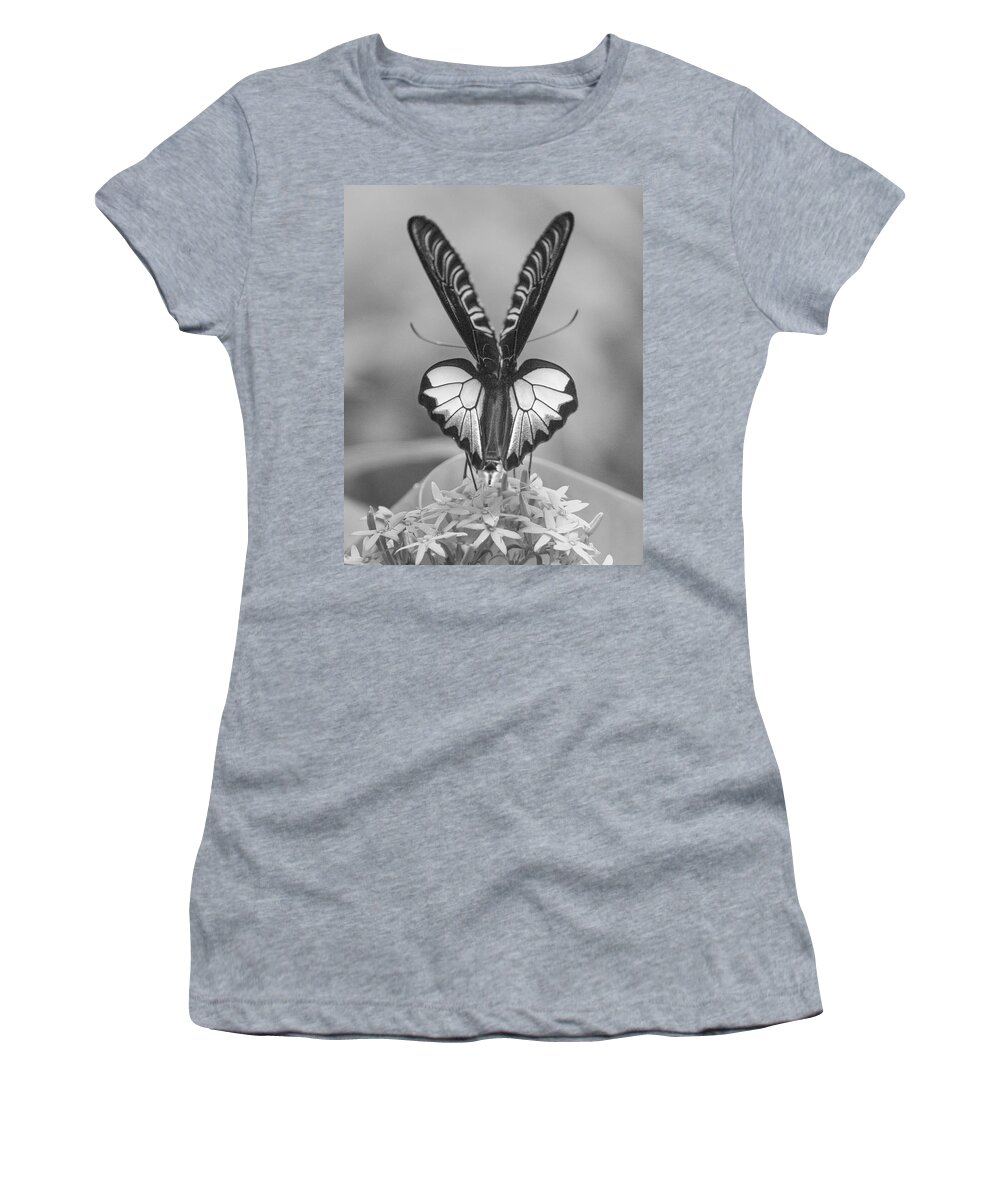 Disk1215 Women's T-Shirt featuring the photograph Birdwing Butterfly by Tim Fitzharris