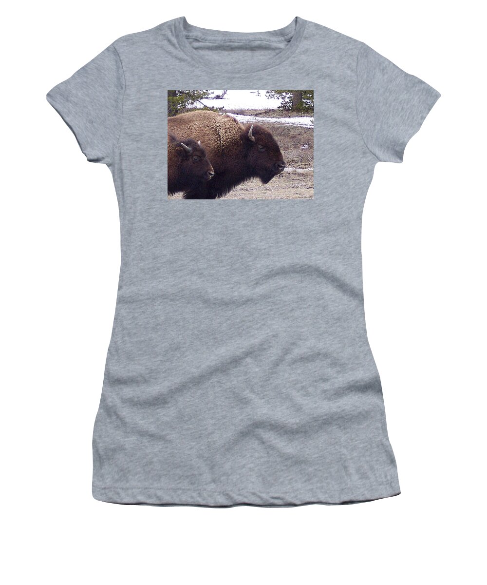Yellowstone Women's T-Shirt featuring the photograph Bison Mother and Calf by Enaid Silverwolf