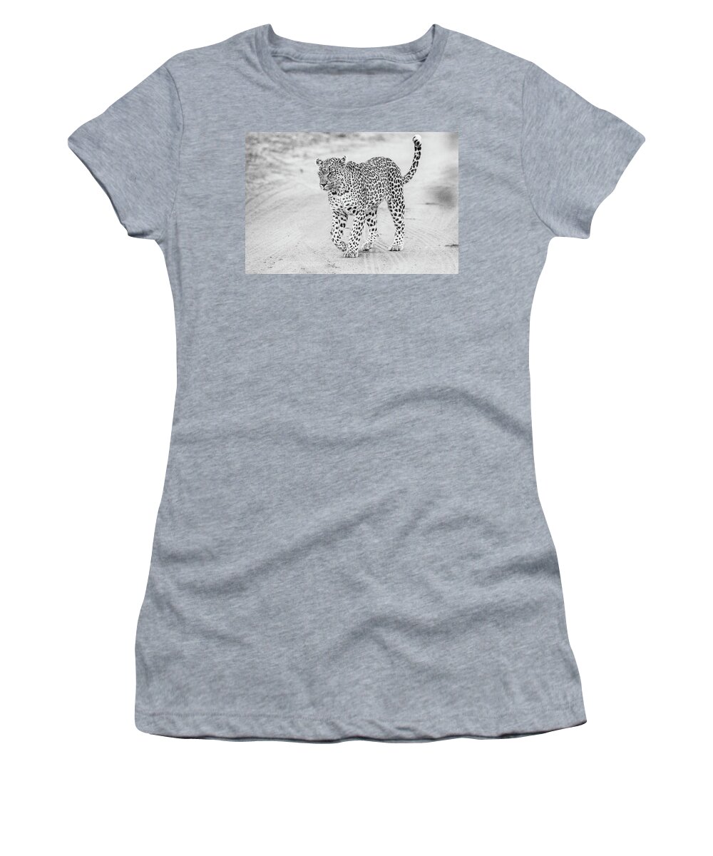 Leopard Women's T-Shirt featuring the photograph Black and white leopard walking on a road by Mark Hunter