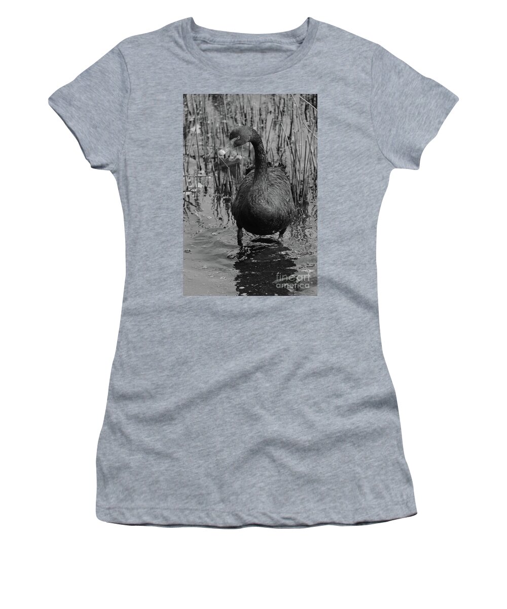 Donegal On Your Wall Women's T-Shirt featuring the photograph Black Swan 46 bw Donegal Ireland by Eddie Barron