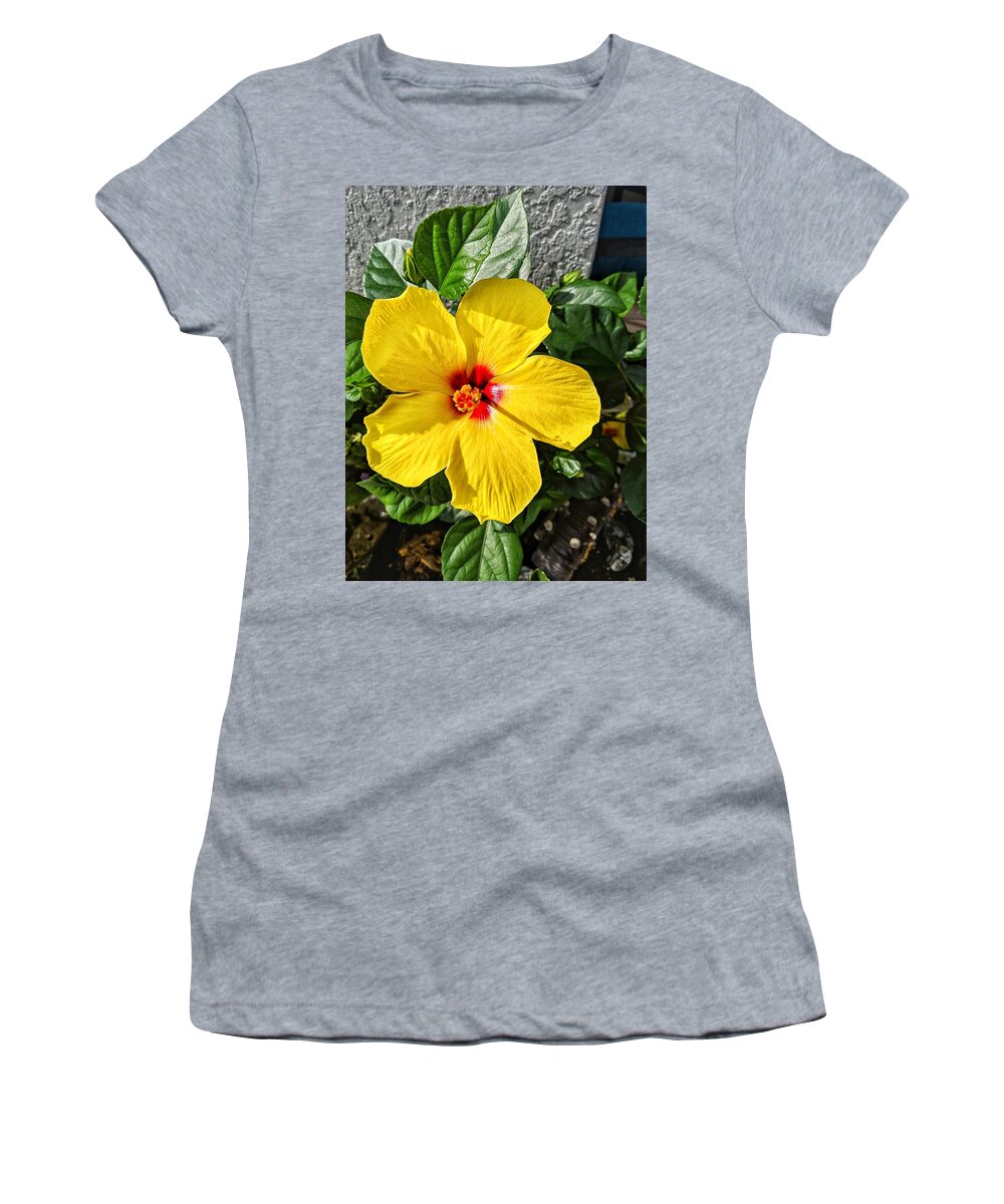Flower Women's T-Shirt featuring the photograph Bloom and Shine by Portia Olaughlin