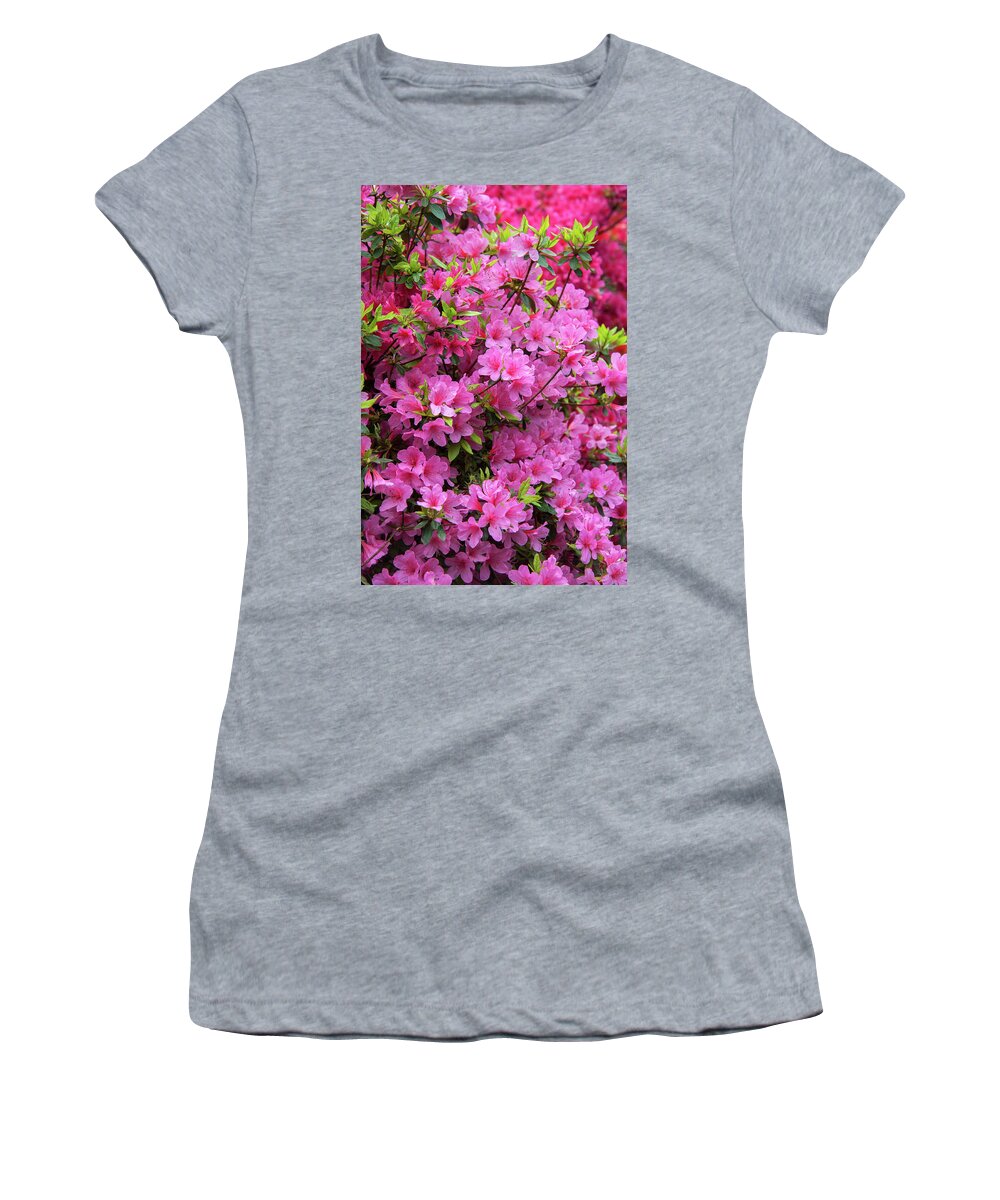 Jenny Rainbow Fine Art Photography Women's T-Shirt featuring the photograph Bloom of Rhododendron Kirin by Jenny Rainbow