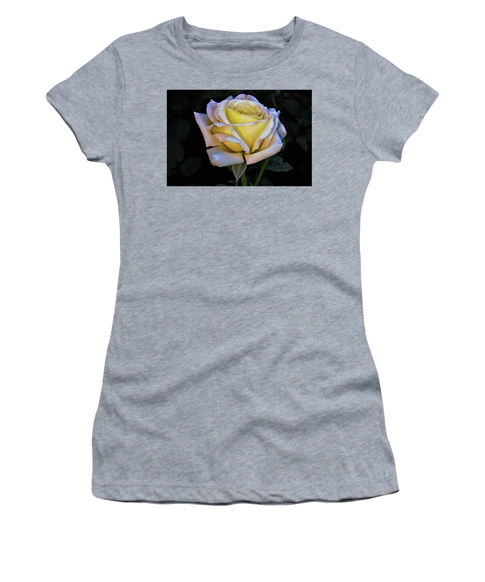 Rose Women's T-Shirt featuring the photograph Blooming Rose by Hazel Vaughn