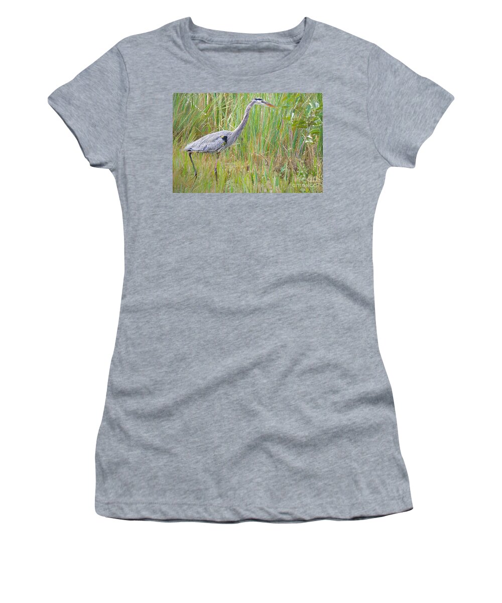 Everglades Birds Women's T-Shirt featuring the photograph Brisk Walk by Judy Kay