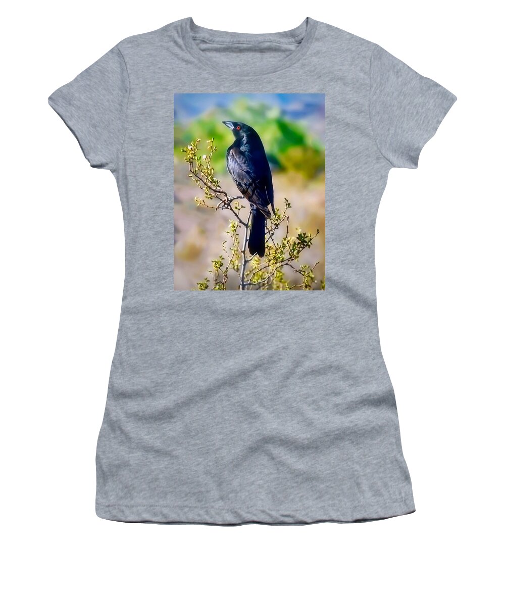 Arizona Women's T-Shirt featuring the photograph Bronzed Cowbird on Creosote by Judy Kennedy
