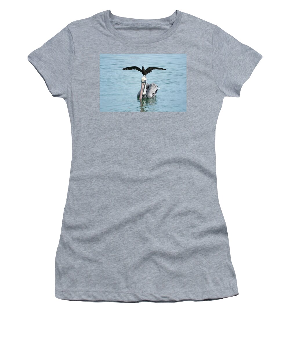 Animal Women's T-Shirt featuring the photograph Brown Noddy On Brown Pelican by Tui De Roy