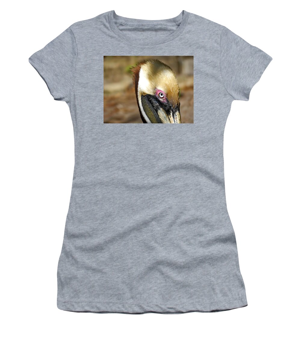 Pelican Women's T-Shirt featuring the photograph Brown Pelican in Breeding Plumage by Lyuba Filatova