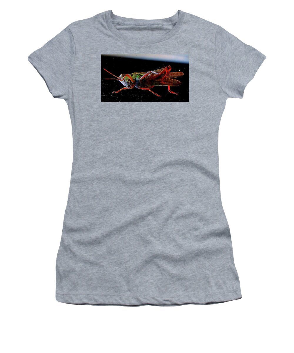 Insects Women's T-Shirt featuring the photograph Bugs From OuterSpace by Linda Stern