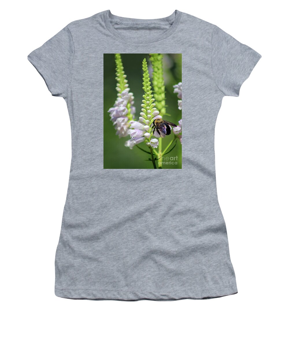 Bumblebee Women's T-Shirt featuring the photograph Bumblebee on Obedient Flower by Karen Adams