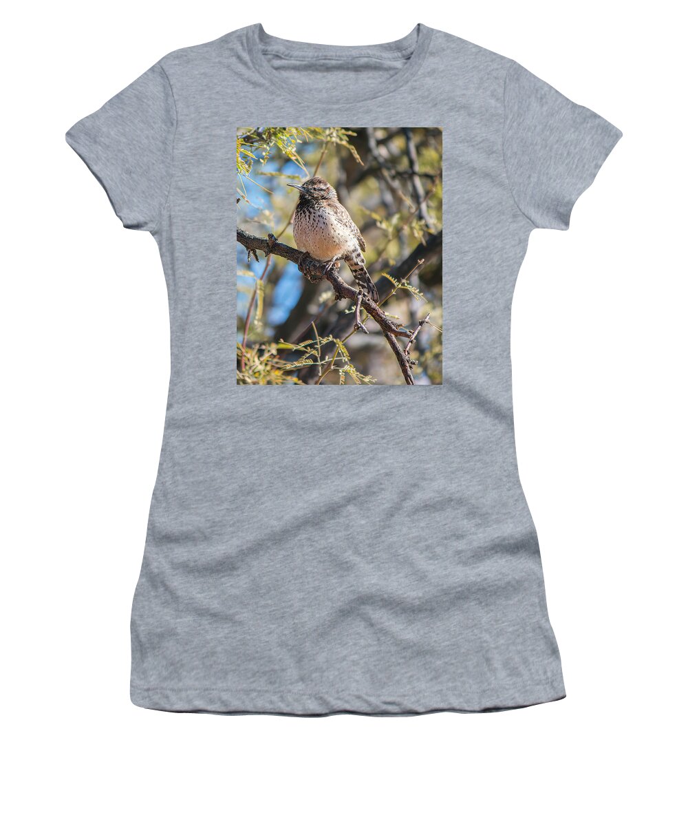 Bird Women's T-Shirt featuring the photograph Cactus Wren in a Mesquite Tree by Teresa Wilson