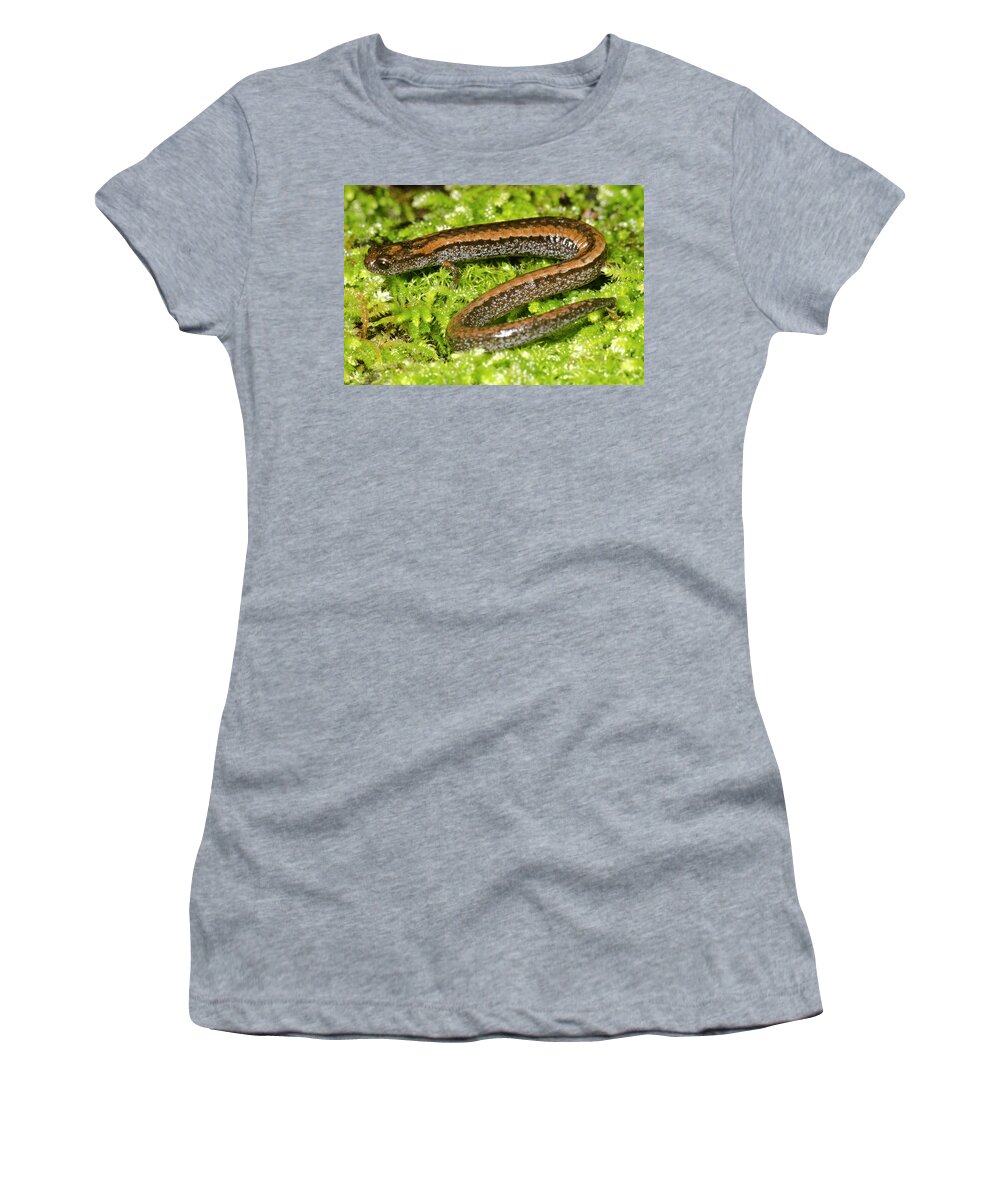 Animal Women's T-Shirt featuring the photograph California Slender Salamander by Dante Fenolio