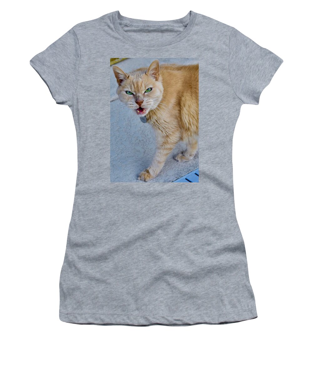 Coco Women's T-Shirt featuring the photograph Call of the Wild Hangry Cat by Debra Grace Addison