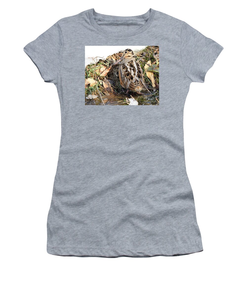 American Woodcock Women's T-Shirt featuring the photograph Camouflaged American Woodcock by Timothy Flanigan