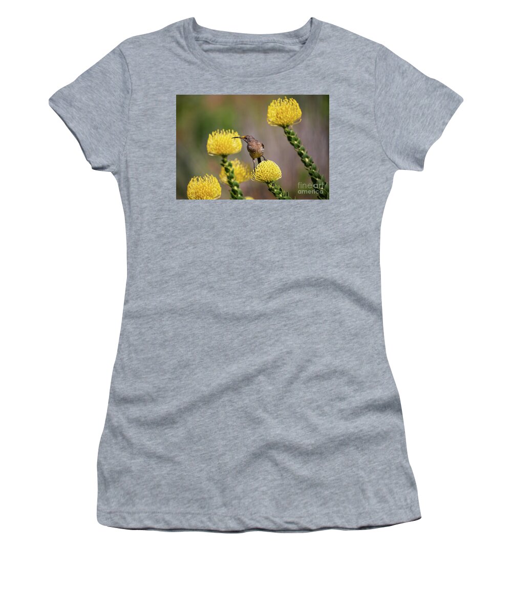 Cape Sugarbird Women's T-Shirt featuring the photograph Cape Sugarbirds Love Proteas by Eva Lechner