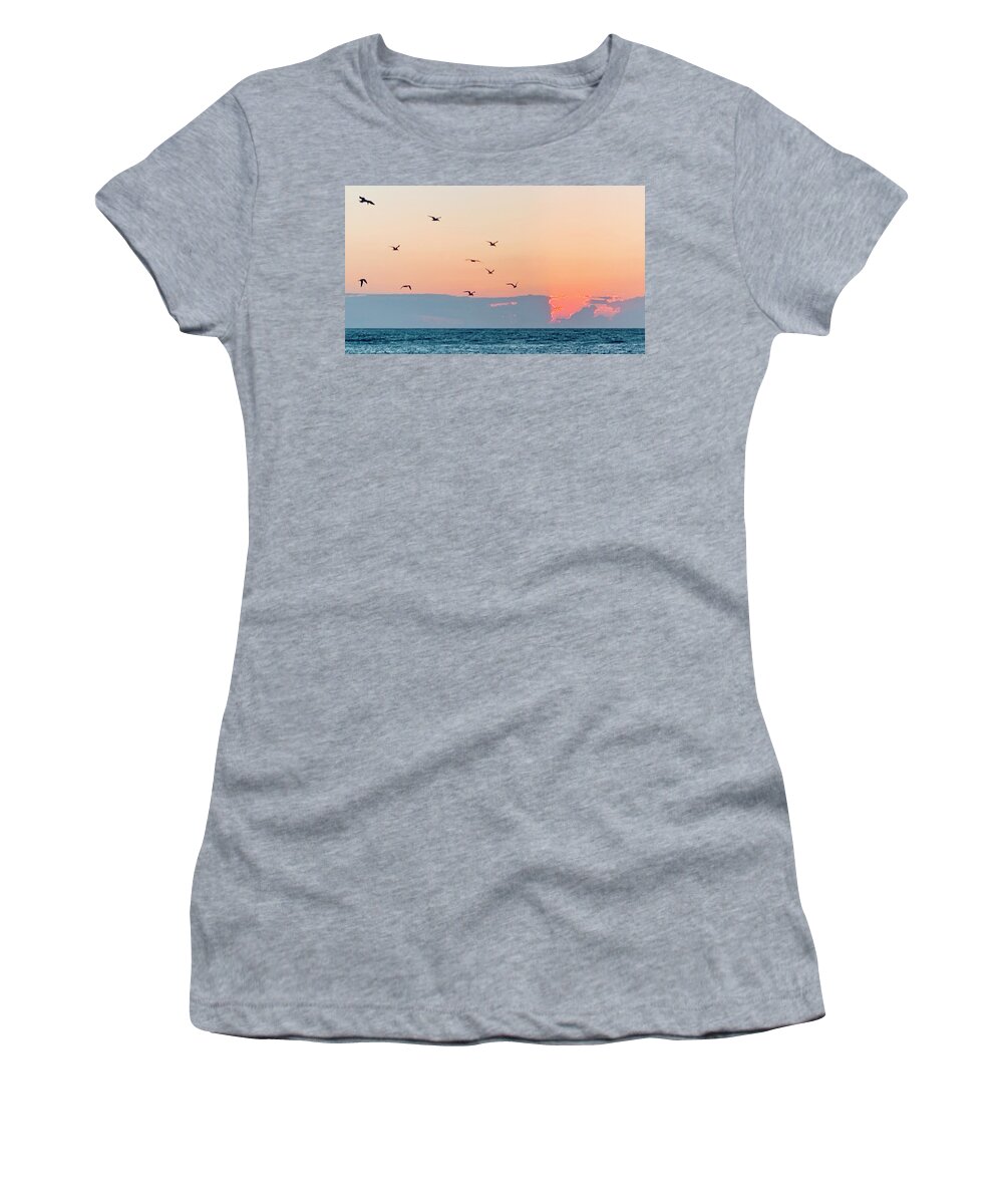 Birds Women's T-Shirt featuring the photograph Captiva Island Seabirds Looking for Fish by Shelly Tschupp