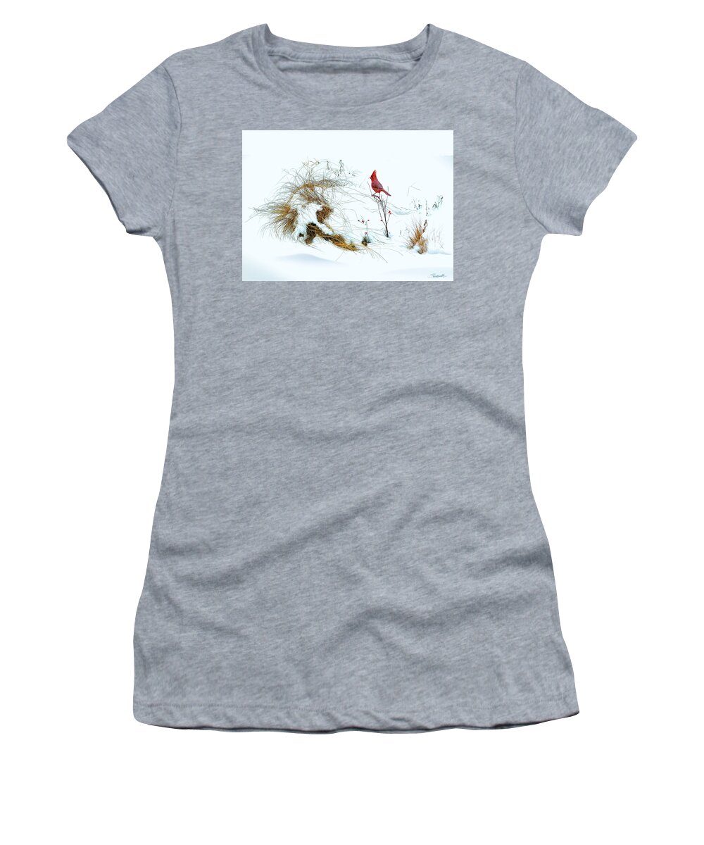 Bird Women's T-Shirt featuring the digital art Cardinal Angel in the Snow by M Spadecaller