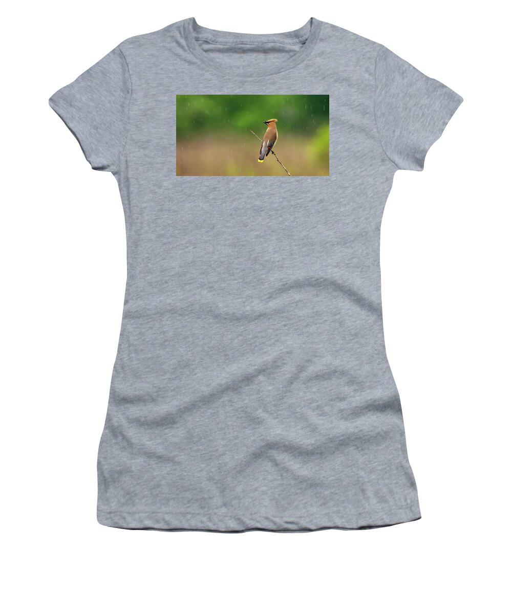 Backyard Birds Women's T-Shirt featuring the photograph Cedar Waxwing in the Rain by Marcy Wielfaert