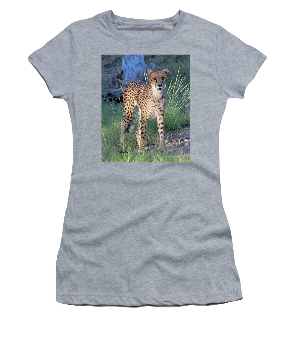 Nature Women's T-Shirt featuring the photograph Cheetah by David Salter