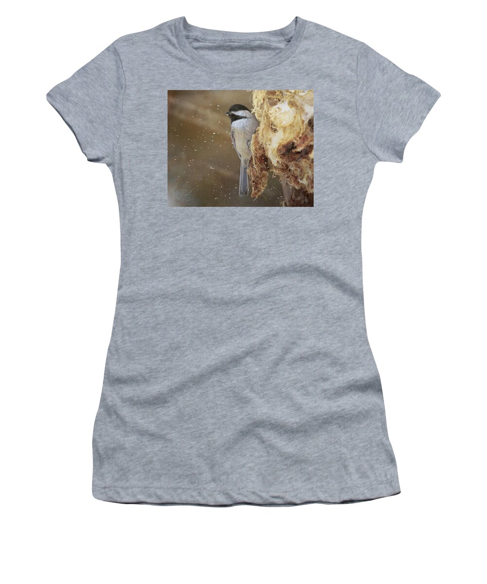 Black Capped Chickadee Women's T-Shirt featuring the photograph Chickadee in Winter by Susan Rissi Tregoning