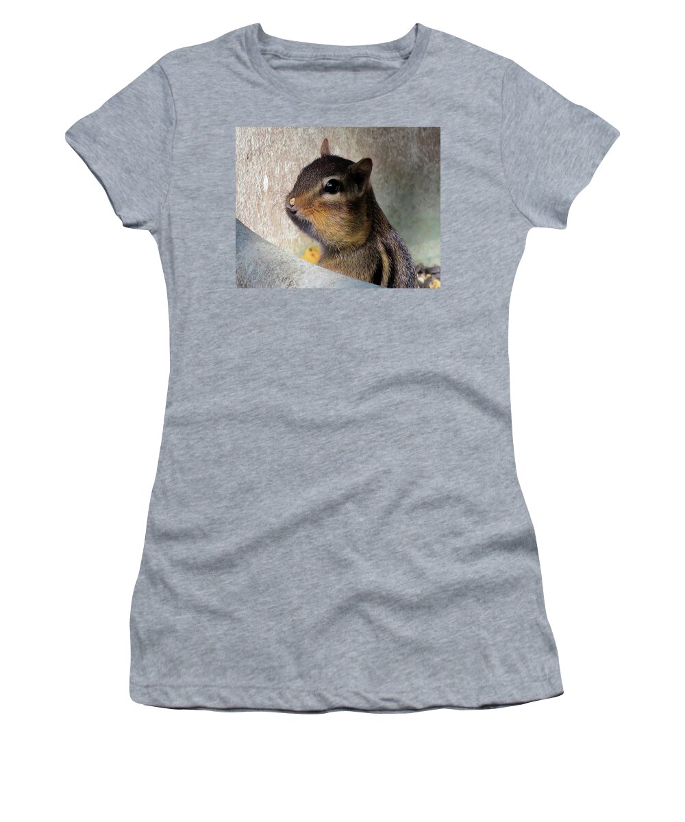 Chipmunk Women's T-Shirt featuring the photograph Chipmunk Caught in the Act by Linda Stern