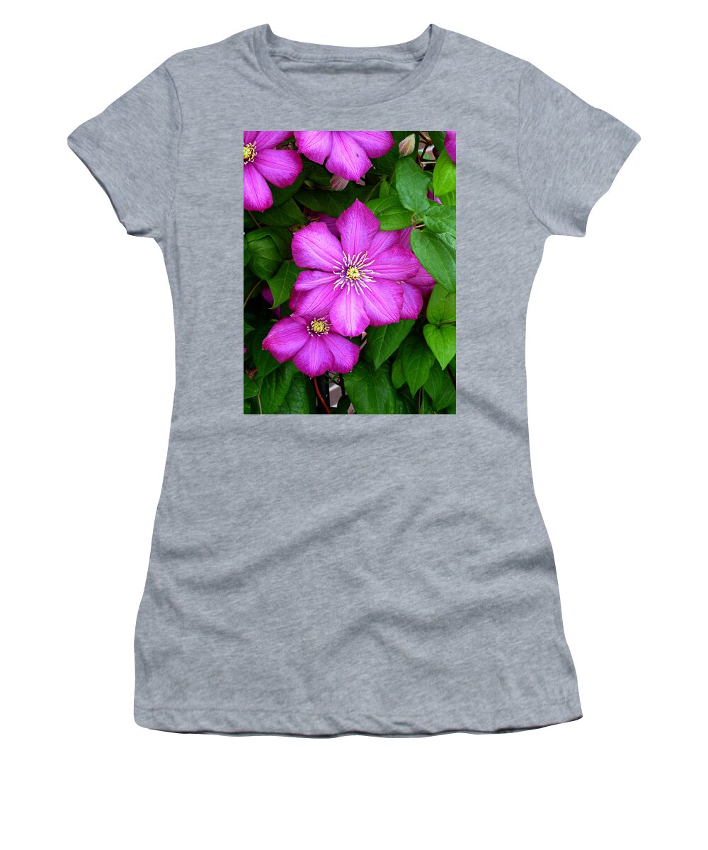 Dark Pink Clematis Flowers Women's T-Shirt featuring the photograph Clematis by Mike McBrayer