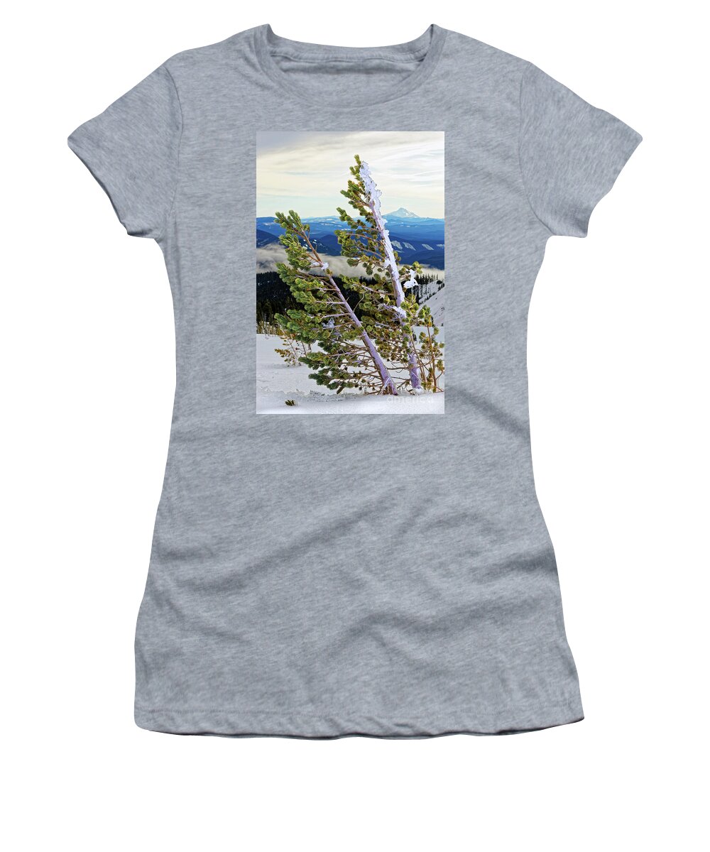 Nature Women's T-Shirt featuring the photograph Closeup Ice Covered Icy Conifer Tree Leaning From Wind With Winter Forest Valley In Background by Robert C Paulson Jr