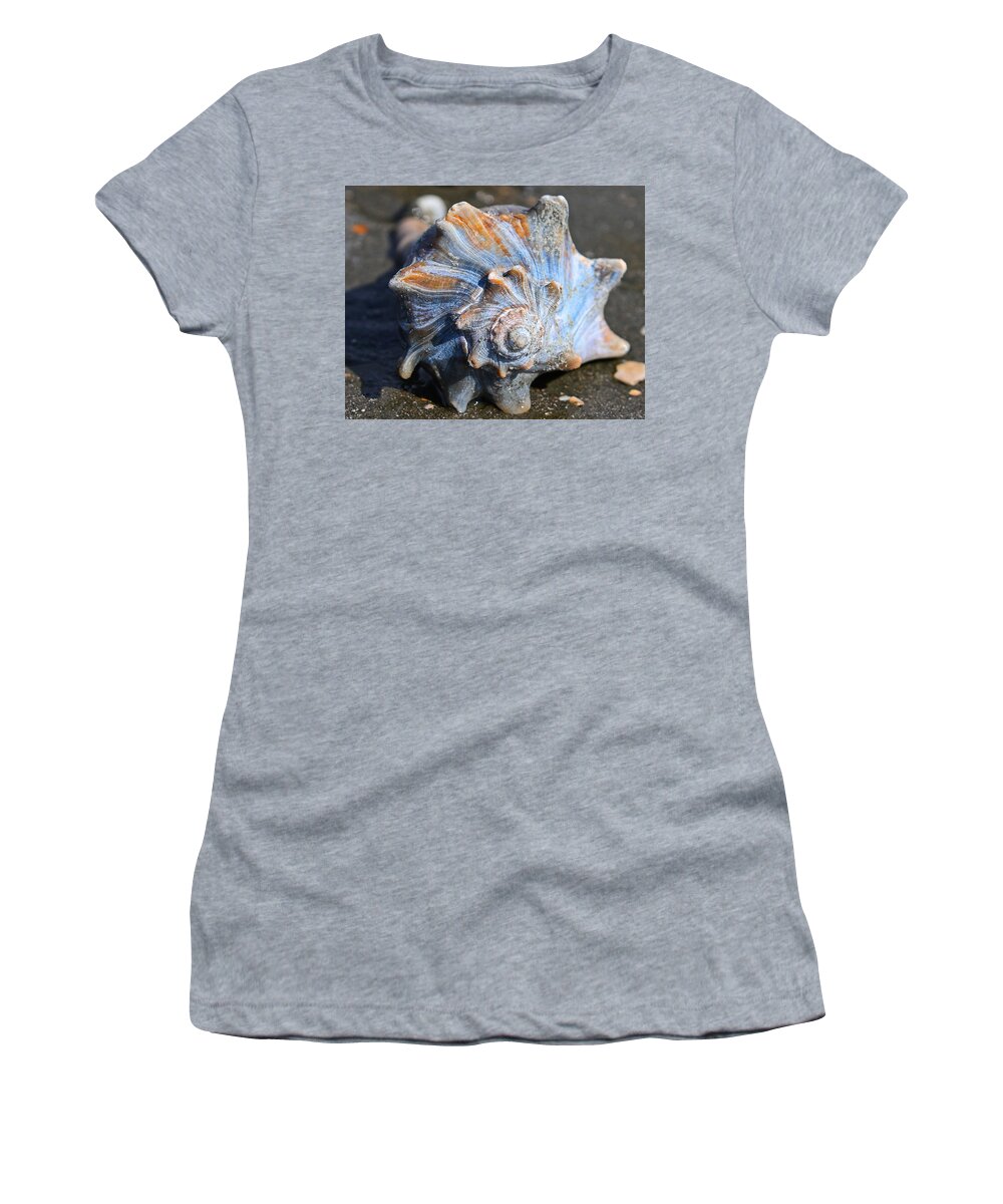 Welk Shell Women's T-Shirt featuring the photograph Large Welk shell by Jordan Hill