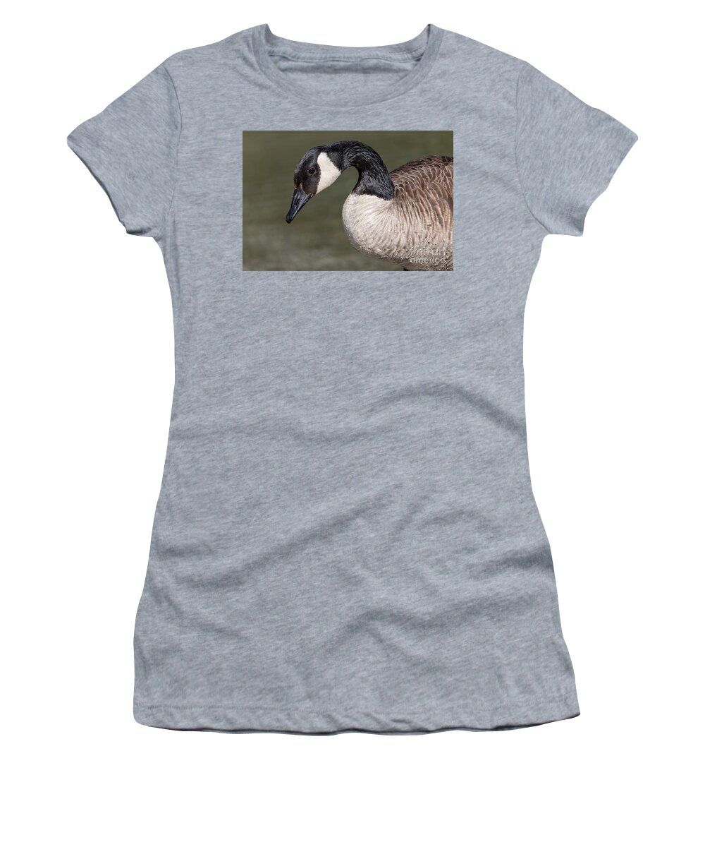 Photography Women's T-Shirt featuring the photograph Curious Goose by Alma Danison