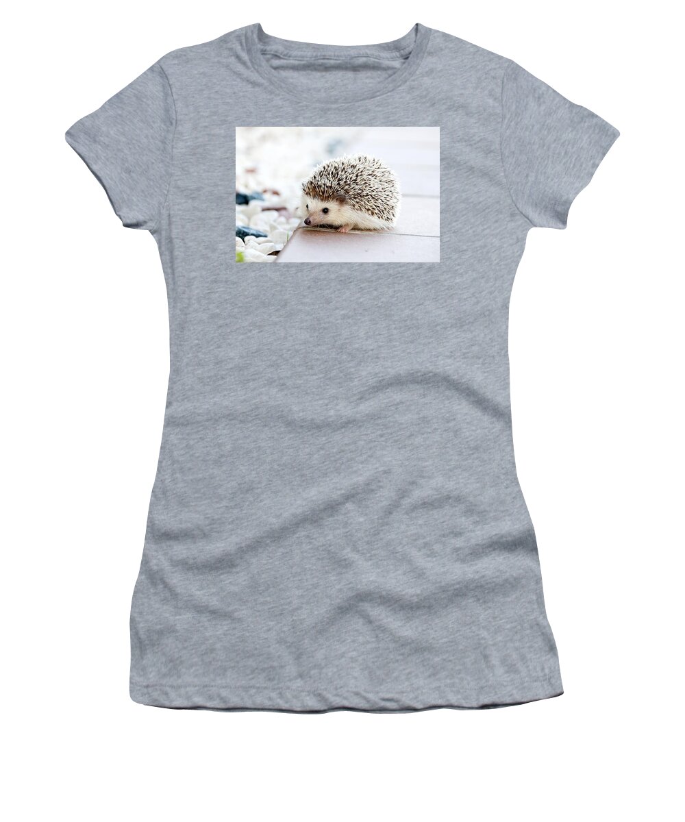  Women's T-Shirt featuring the photograph Cute hedgeog by Top Wallpapers